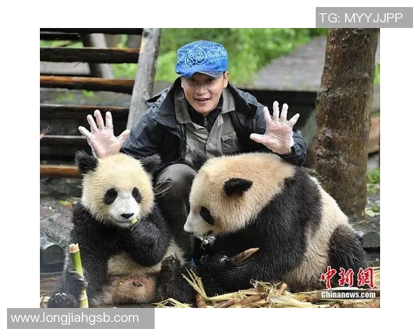 外国足球明星亲密接触熊猫展现友谊与环保意识的美好瞬间 外国足球明星亲密接触熊猫展现友谊与环保意识的美好瞬间
